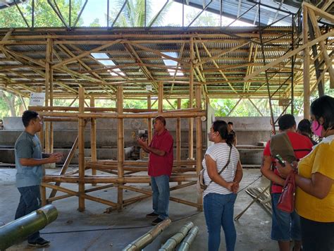 The Bamboo Effect: Kawayan Collective .